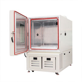 De biologische Klimaatkamer van Stabiliteitsconstant humidity and temperature test